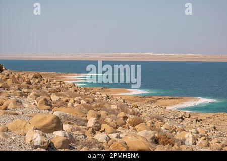 La riva con formazione di sale bianco sulla spiaggia, Mar Morto, Giordania, Medio Oriente Foto Stock