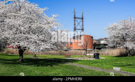 NORWALK, CT, USA - 13 APRILE 2023: Edificio IMAX presso il Maritime Aquarium in North Water Street a South Norwalk, demolendo con alberi in fiore Foto Stock