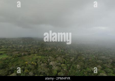 Tema pioggia. nube di pioggia in rapido movimento sulla foresta Foto Stock