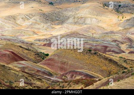 Paesaggio pittoresco e colorato vicino al complesso David Gareji, Georgia, Asia centrale, Asia Foto Stock