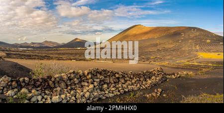 Vista del paesaggio vulcanico e dei vigneti vicino a la Geria, la Geria, Lanzarote, Las Palmas, Isole Canarie, Spagna, Atlantico, Europa Foto Stock