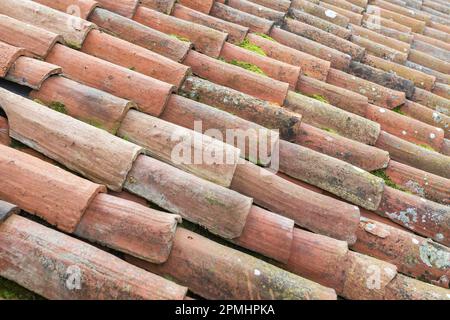 Tetto vecchio da ristrutturare. Muschio verde. Foto Stock