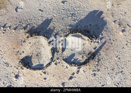 Vista aerea oltre 17th ° secolo resti di forni di baubber da whalers olandesi a Smeerenburg su Amsterdam Island / Amsterdamøya, Svalbard / Spitsbergen Foto Stock