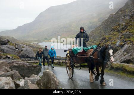 Carriage, Valley, Gap of Dunloe, Irlanda Foto Stock