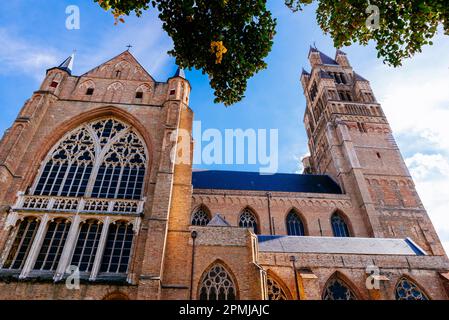 Particolare del transetto e del campanile. La Cattedrale di Saint-Salvator è la cattedrale di Bruges, costruita tra i secoli 13th e 14th. Bruges, West Fl Foto Stock
