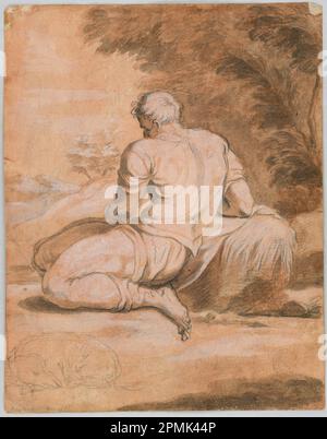 Disegno, Studio di disegno: Narcissus (?); Italia; pastello nero, penna, inchiostro, il colore dell'acqua marrone e nero si lava con un aumento del bianco sulla carta Foto Stock