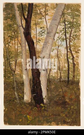 Disegno, in The Woods, Hudson, New York; Frederic Edwin Church (americano, 1826–1900); USA; vernice a pennello e ad olio, tracce di grafite su carta pesante in vove color crema; foglio: 29,7 x 18,8 cm (11 11/16 x 7 3/8 in.) Foto Stock