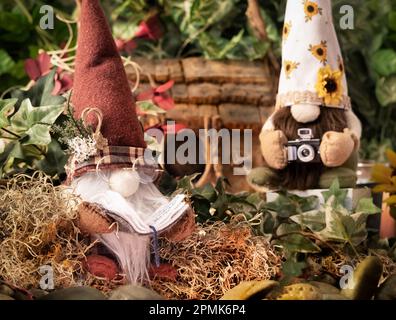 Due gnomi nel loro giardino di fronte alla loro casa con una lettura di un libro e un altro scattare una foto con una macchina fotografica in primavera estate autunno Foto Stock