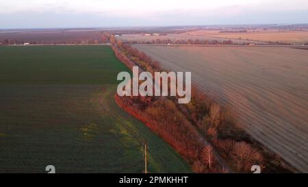 Bellissimo paesaggio agricolo su diversi campi agricoli e autostrada con auto di guida nella soleggiata serata autunnale. Campi seminato piante verdi, campi raccolti grano, strada. Vista aerea del drone Foto Stock