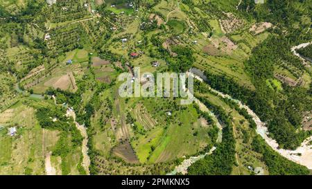 Veduta aerea dell'azienda agricola e dei terreni agricoli con coltivazioni in zona montagnosa. Isola di Cebu, Filippine. Foto Stock