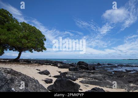 Spiaggia hawaiana vuota Foto Stock