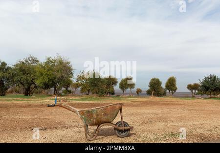 carriola per il trasporto di materiali da costruzione sullo sfondo di alberi Foto Stock