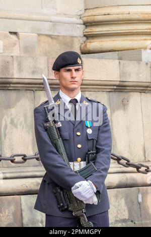 Guardsman in servizio presso il Palazzo reale di Stoccolma. Svezia Foto Stock