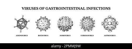 Virus di infezioni gastrointestinali. Set disegnato a mano di microrganismi. Illustrazione vettoriale scientifica nello stile di schizzo Illustrazione Vettoriale