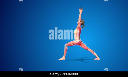 3D Virabhadrasana umana i variazione guerriero esteso i yoga posa su sfondo blu Foto Stock