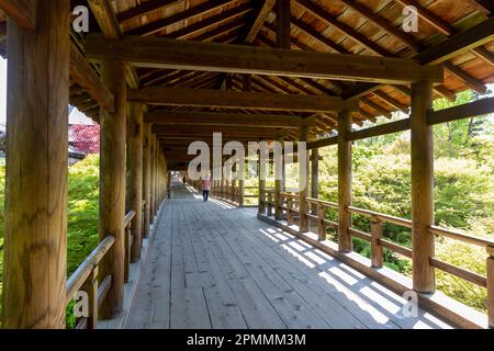 Aprile 2023 Kyoto Giappone, ponte di legno di Tsutenkyo al tempio di Tofuku-ji a Kyoto, uno dei grandi templi zen buddisti, Giappone, Asia Foto Stock