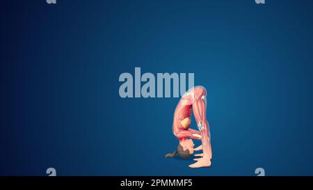 3D Prasarita padottanasana umana posa yoga a piega in avanti a grande orientamento su sfondo blu Foto Stock