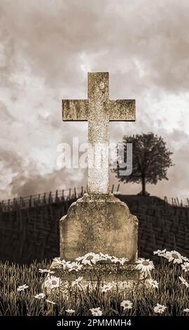 vecchia lapide in un campo di campagna 3d illustrazione Foto Stock