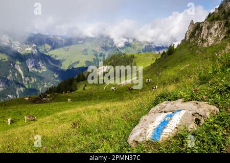 I sentieri escursionistici sulle Alpi svizzere, contrassegnati da barre bianche e blu, richiedono attrezzi speciali come funi, imbracature, moschettoni e caschi. Questi segni ar Foto Stock