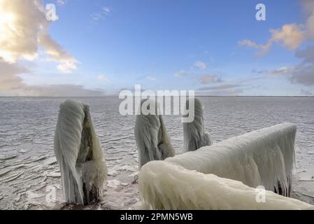 Den Oever, Paesi Bassi - 10 febbraio 2021. Accumulo di ghiaccio sui moli dell'Afsluitdijk a Ijsselmeer, Den Oever, Olanda. Foto Stock