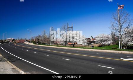 NORWALK, CT, USA - 13 APRILE 2023: Alberi in fiore in primavera vicino al centro Foto Stock