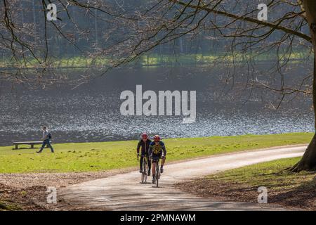 Studley Royal Park Ear Ripon nel North Yorkshire, Inghilterra. Il sito, che ha una superficie di 800 ettari, vanta un giardino paesaggistico del 18th° secolo Foto Stock