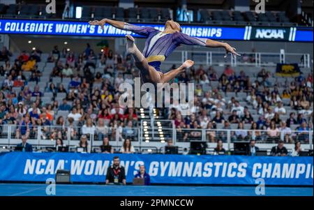 Fort Worth, Stati Uniti. 13th Apr, 2023. Haleigh Bryant della Louisiana state University ha ottenuto il terzo posto nella sessione uno delle semifinali del concorso di allenamento, aiutando la sua squadra a qualificarsi per le finali ai Campionati di ginnastica femminile NCAA 2023 nella Dickie's Arena, Fort Worth, Texas, il 13 aprile 2023 (foto di Jeff Wong/Sipa USA). Credit: Sipa USA/Alamy Live News Foto Stock