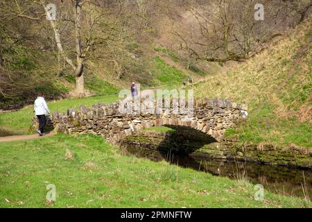 La Seven Bridges Valley cammina per una passeggiata panoramica all'interno dei giardini di Royal Studley e dell'Abbazia di Fountains vicino a Ripon, nel North Yorkshire England Foto Stock