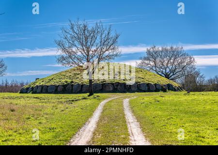 Tumulo sepolcrale in età bronzea Groenhoej a Horsens, Danimarca Foto Stock