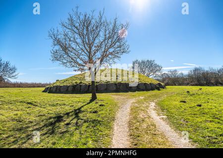 Tumulo sepolcrale in età bronzea Groenhoej a Horsens, Danimarca Foto Stock