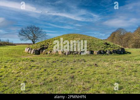 Tumulo sepolcrale in età bronzea Groenhoej a Horsens, Danimarca Foto Stock