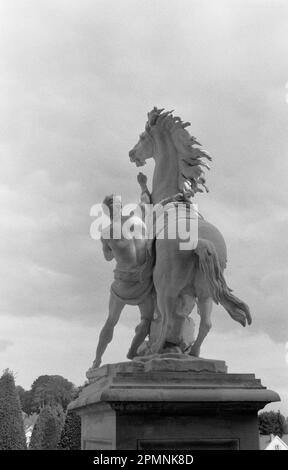 'LES CHEVAUX DE MARLY' - CAVALLI DI MARLY DI GUILLAUME COUSTOU 1745 - ABREUVOIR DU CHATEAU DE MARLY LE ROI YVELINES VICINO A PARIGI FRANCIA - IMMAGINE D'ARGENTO © FOTOGRAFIA: FRÉDÉRIC BEAUMONT Foto Stock