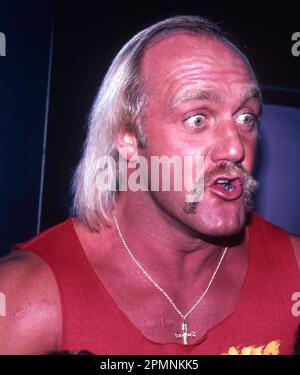 1987 Hulk Hogan Foto di John Barrett/PHOTOlink Foto Stock