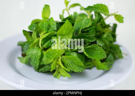 Fascio di menta su un piatto Foto Stock