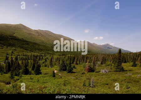 Vista sulle montagne e la tundra verde della zona dei laghi Symphony e Eagle, nell'entroterra delle montagne Chugach, nel Chugach State Park, vicino a un... Foto Stock