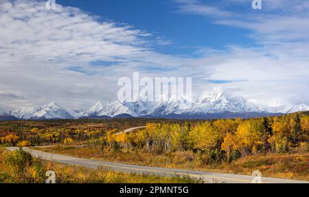 Splendidi colori autunnali e viste delle cime innevate dell'Alaska Range lungo l'autostrada; Alaska, Stati Uniti d'America Foto Stock