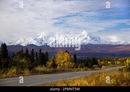 Viste panoramiche autunnali delle cime innevate dei monti Hayes, Hess e Deborah dell'Alaska Range e circondano i colori autunnali lungo il ... Foto Stock