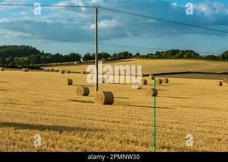 Vista panoramica delle balle di paglia arrotolate che punteggiano i campi dorati intorno a Rockbourne, vicino a Salisbury, con pali di utilità, sotto un cielo nuvoloso e blu Foto Stock