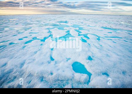 Ghiaccio marino o acqua oceanica congelata che si forma, cresce e si scioglie nell'oceano; Baffin Island, Nunavut, Canada Foto Stock