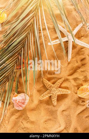 Sfondo di stelle pesche e conchiglie sulla spiaggia dorata Foto Stock