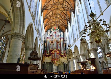 All'interno della chiesa gotica di San Bavo si trova il Grote Kerk, con l'architettura ornata a volta a coste, e il famoso organo Christiaan Müller, Haarlem Foto Stock