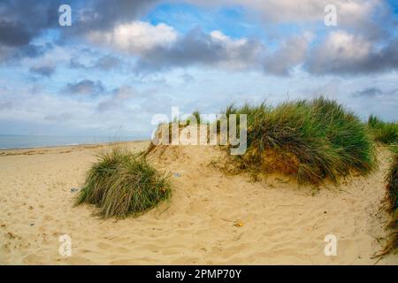 Duna di sabbia. Foto Stock