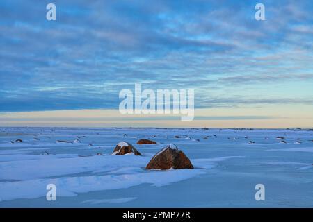 Ghiacciai erratici congelati nel ghiaccio sulle distese di marea della Baia di Hudson; Churchill, Manitoba, Canada Foto Stock