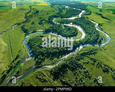 Vista aerea di un fiume tortuoso che riflette la luce del sole con lussureggianti campi verdi e alberi, a sud-est di Calgary; Alberta, Canada Foto Stock