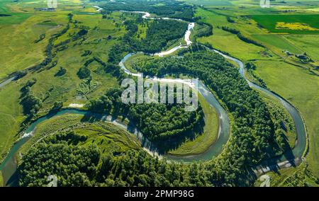 Vista aerea di un fiume tortuoso che riflette la luce del sole con lussureggianti campi verdi e alberi, a sud-est di Calgary; Alberta, Canada Foto Stock