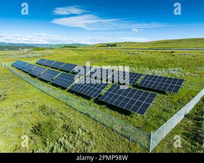 Due file di pannelli solari in un campo verde con colline ondulate sullo sfondo e cielo blu e nuvole, a nord di Longview, Alberta; Alberta, Canada Foto Stock