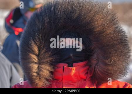 Donna vestita in un grande parka invernale al freddo estremo, con gli occhi azzurri che sbirciano fuori dal cappuccio rifinito in pelliccia; Churchill, Manitoba, Canada Foto Stock