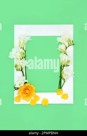 Creativa rosa floreale su cornice bianca su sfondo verde. Minimo confine natura, compleanno, Primavera, Estate, anniversario, nuziale. Foto Stock
