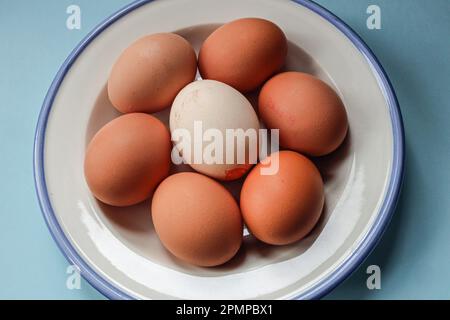 Sette uova fresche di fattoria da un mercato locale. Su sfondo blu pallido in una ciotola circolare con bordo blu latte. 6 uovo grande marrone e un uovo bianco molto grande. Foto Stock