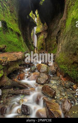 Cascata nascosta che scorre sulle scogliere rocciose di Sombrio Beach, Vancouver Island, British Columbia, Canada; Port Renfrew, Columbia Britannica, Canada Foto Stock